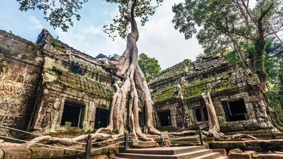 Ta Prohm Temple, Cambodia 