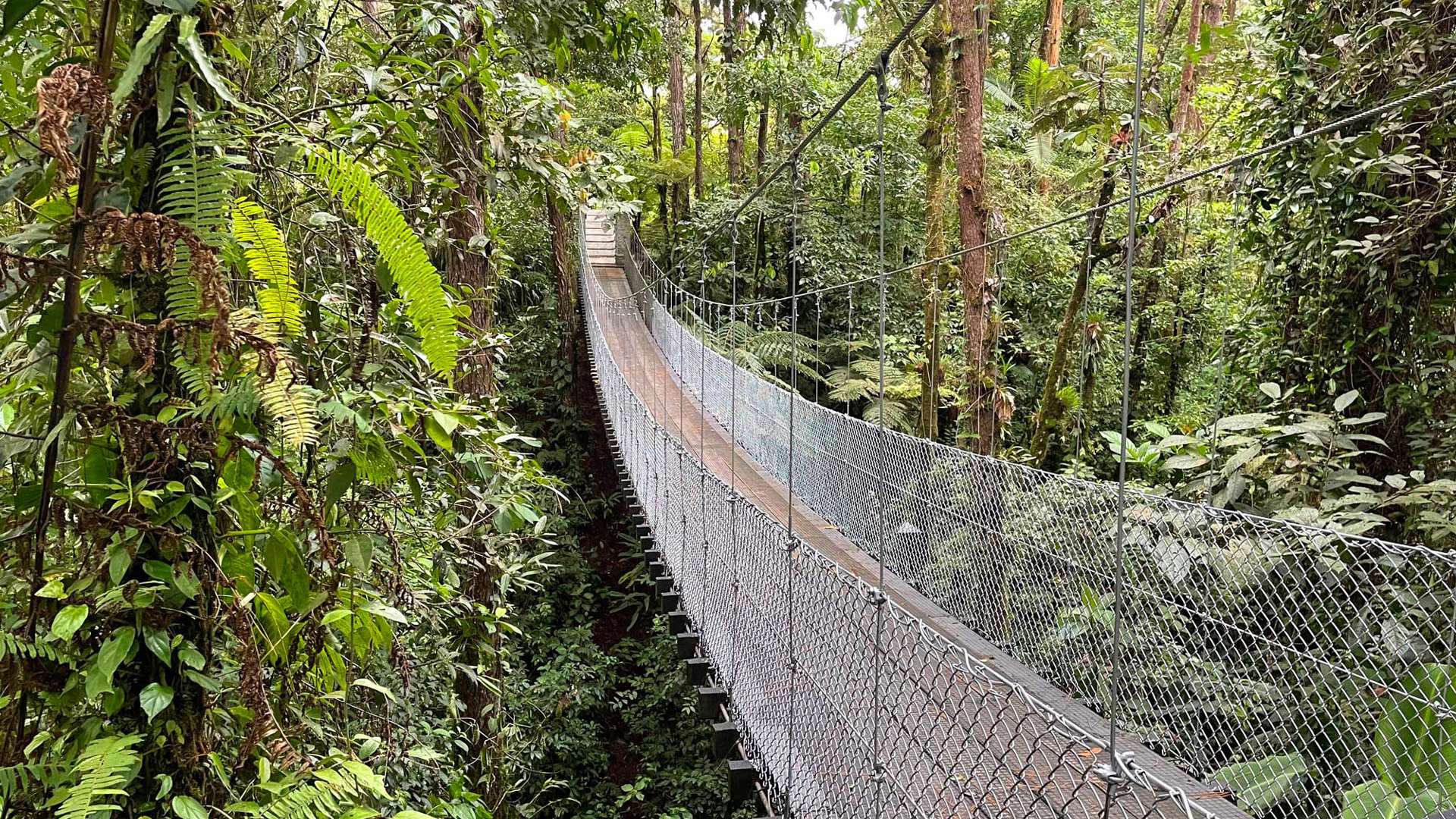 Hanging Bridge, Arenal National Park, Costa Rica