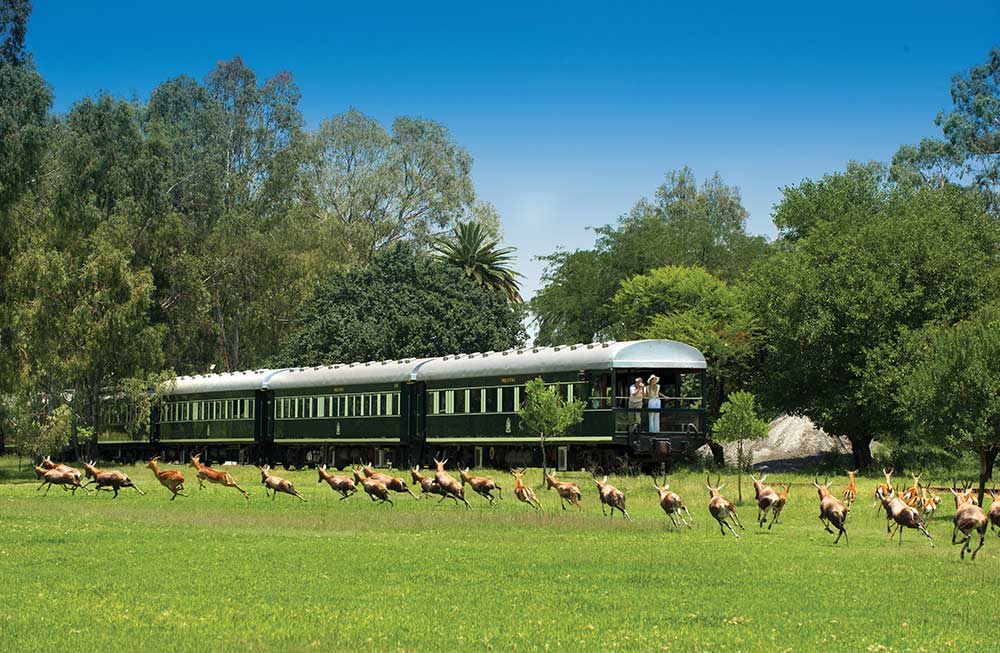 Rovos Rail Train, Victoria Falls, South Africa, View of train with animals