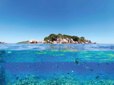 Secrets of the Seychelles