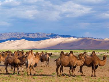 The Lands of Genghis Khan