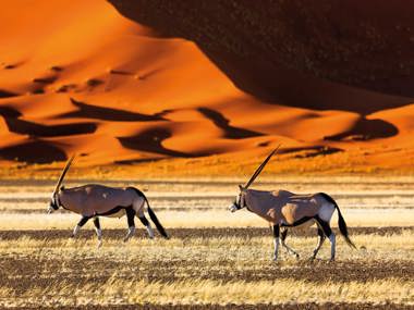 Namibia By Private Train - Walvis Bay to Pretoria