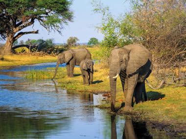 Namibia Botswana and Vic Falls Safari