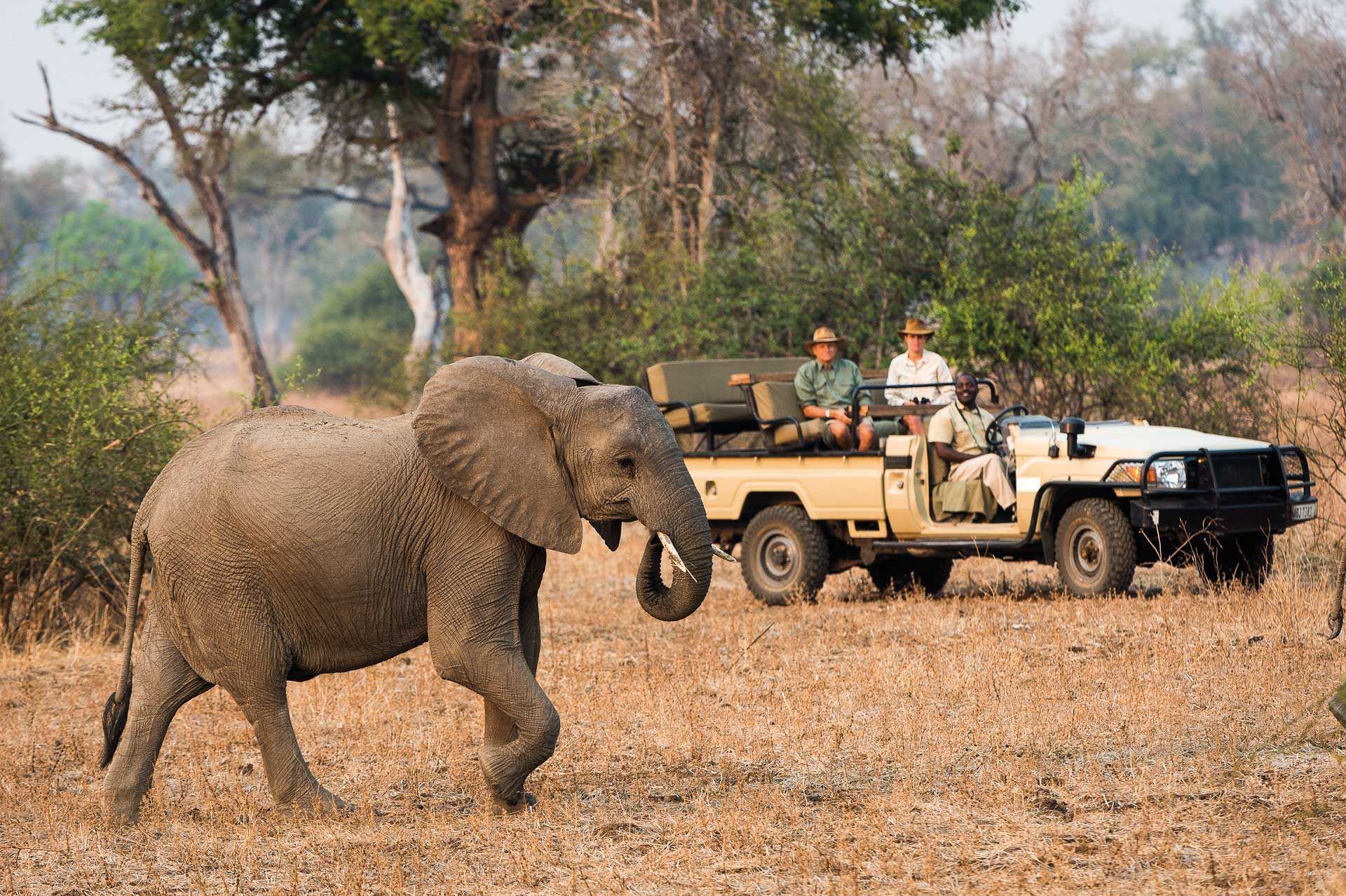 Robin Pope Safaris | Zambia Safaris & Tours | Jules Verne