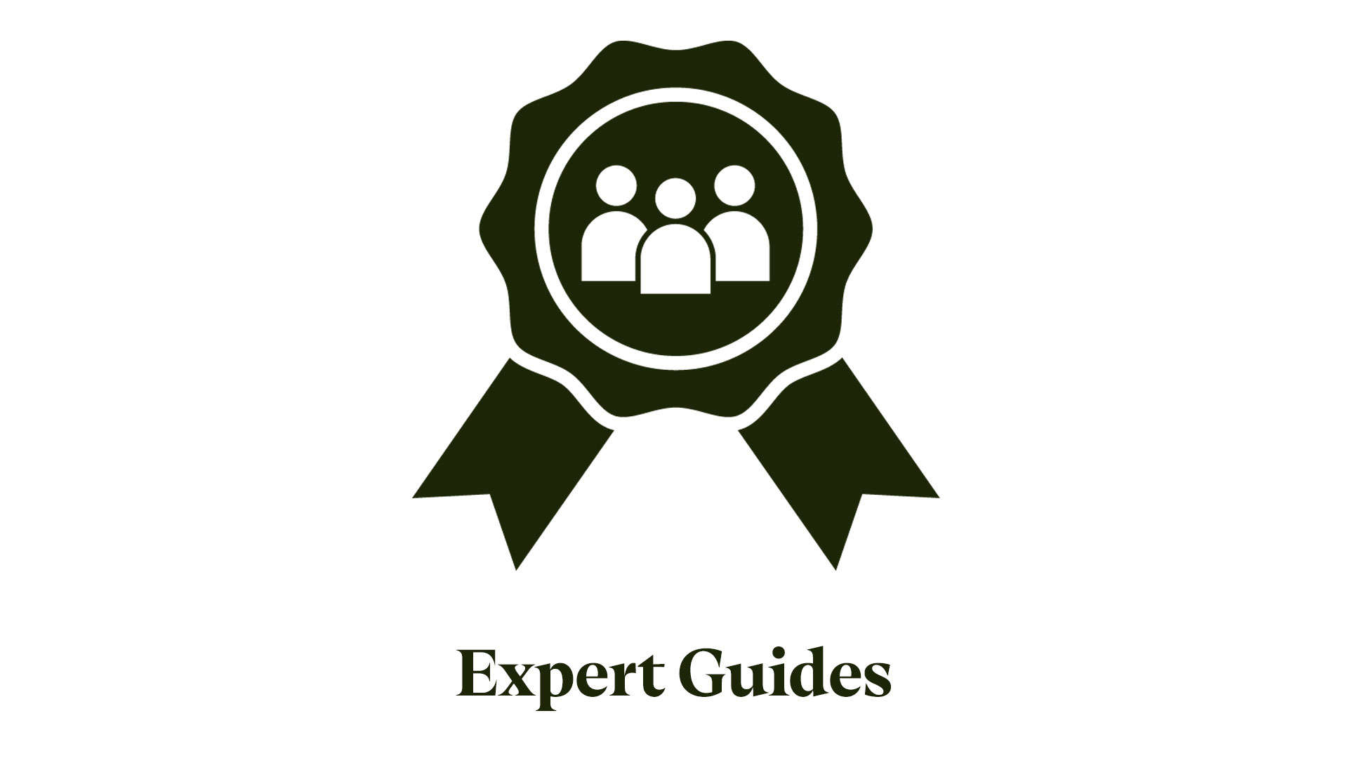 Expert Guides New